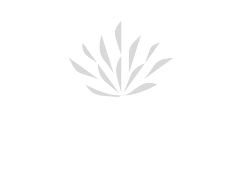 ZenVibes